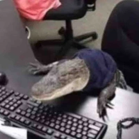 Crocowhile