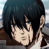 mikasa
