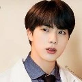 jin ( kakak jungkook )