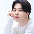 jimin ( asisten jungkook & jin )