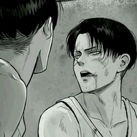 levi