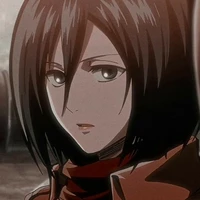 mikasa