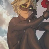 Chat Noir