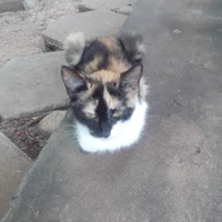 autora