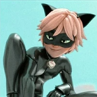 Chat noir