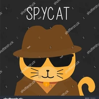 spiao gato