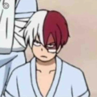 Todoroki Shouto