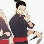 Shikadai