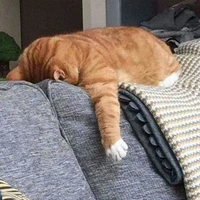 Someone