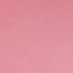 sirviente y