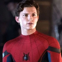homem aranha (tom rola)