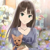 Shibuya Rin