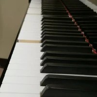 Music Professor