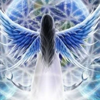 author shiii 🤫🤫