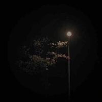 นักฆ่า