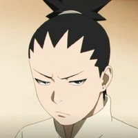 shikadai p