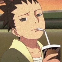shikadai