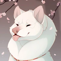 ฟูจิ/สุนัข🐕