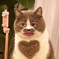 แอดเอง