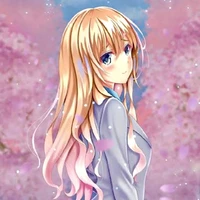 Akki