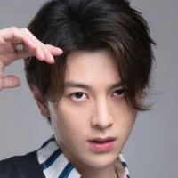 Lin Si