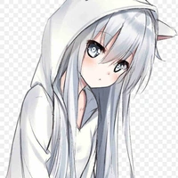 Y/n