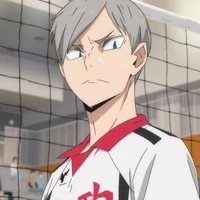 Lev haiba
