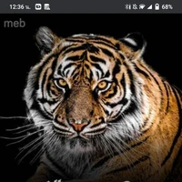 สมิง🐯