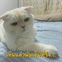 ไรท์
