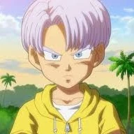 Trunks