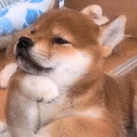 เรา