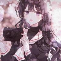 y/n