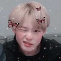 Chenle | Lele (🐬)