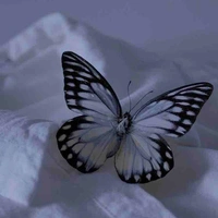 𝖳𝗐𝗂𝗇𝗌 𝖺𝗇𝖽 𝗆𝗈𝗍𝗁𝖾𝗋 