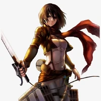 mikasa