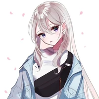 Y/N