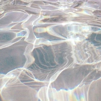Unknown 1