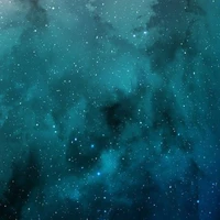 Unknown 5