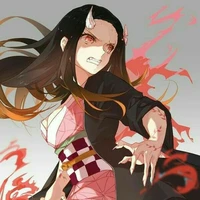 🌺Nezuko🌺
