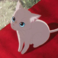 Nini