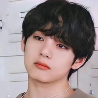 ใบหม่อน(ใบมิ้นท์)