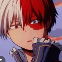todoroki shoto ^A.D^