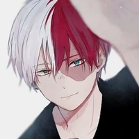 โทโดโรกิ โชโตะ