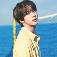 Kim seokjin (jin)
