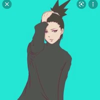 shikadai