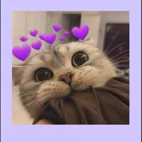 เเอดเองนะงุ้ย