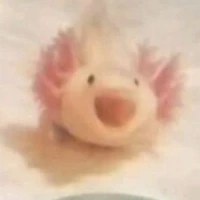 ◤ᴬˡᵉˣⁱˢ ʸ ᴬᵐᵇᵉʳ◢