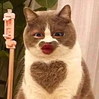 แอดเอง