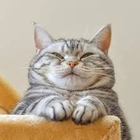 GM