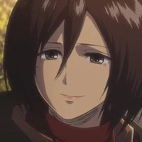 Mikasa